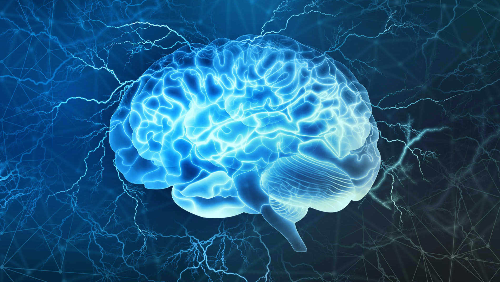 Cerebro Humano Jonathan Rivera